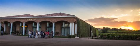 Bodegas Torres en Cataluña