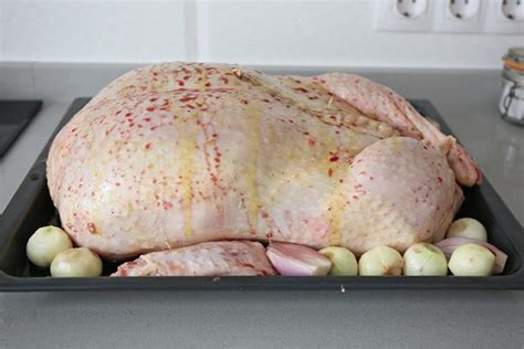 Pavo relleno listo para hornear