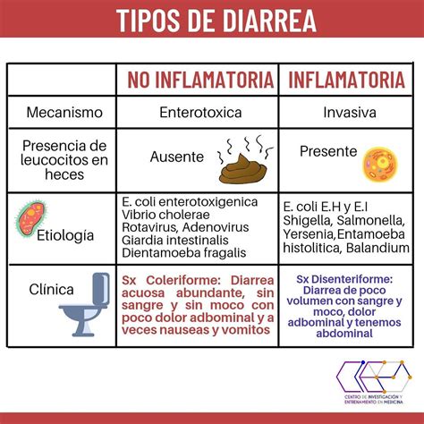 Infografía sobre los tipos de diarrea en corderos y sus causas
