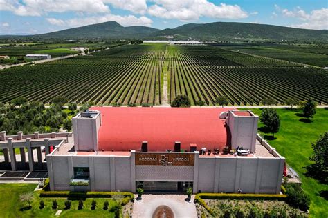 Viñedos en la región de Empordà
