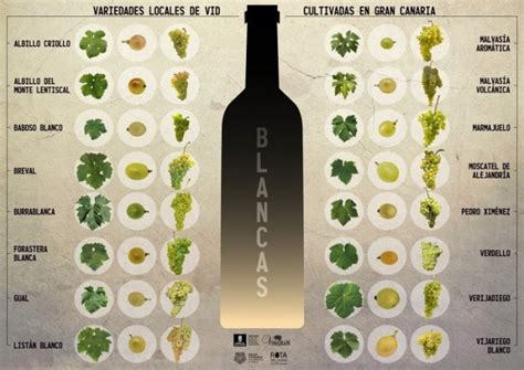 Tabla comparativa de vinos Espelt Garnacha