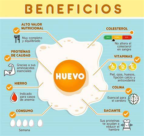 Infografía mostrando los beneficios de Beneful Cachorros: sistema inmunológico, desarrollo cerebral, visión, huesos y dientes fuertes.