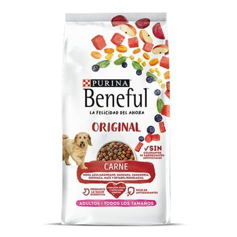 Imagen de los ingredientes naturales de Beneful: pollo, frutas y vegetales.