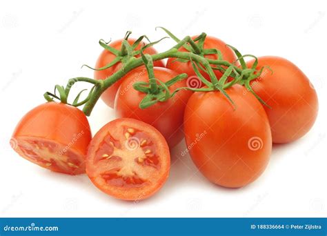 Tomates italianos frescos