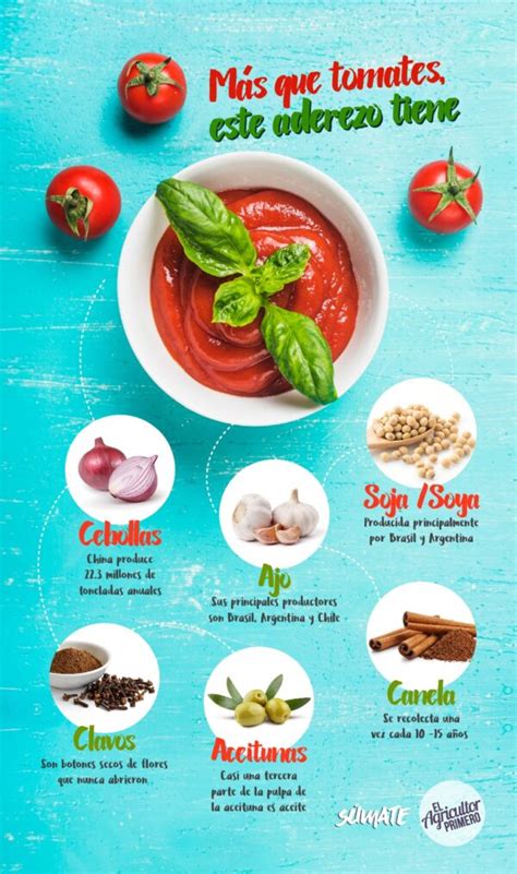 Infografía nutricional de la salsa de tomate