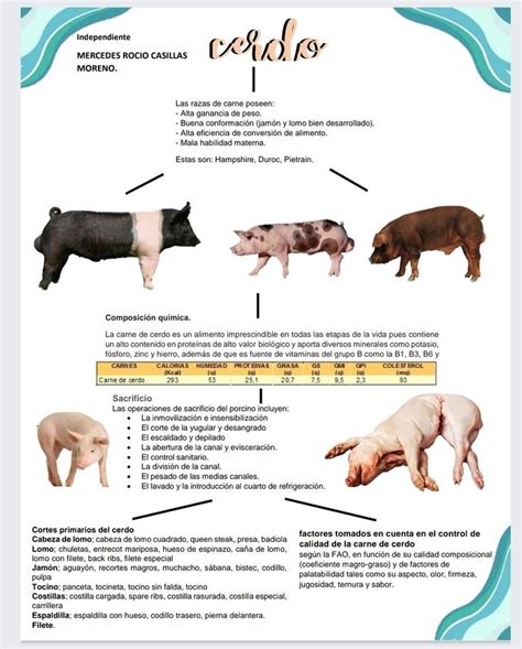 Diagrama comparativo: Cerdo Ecológico vs. Cerdo Convencional