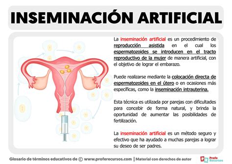 Infografía sobre los beneficios de la inseminación artificial en la ganadería ovina