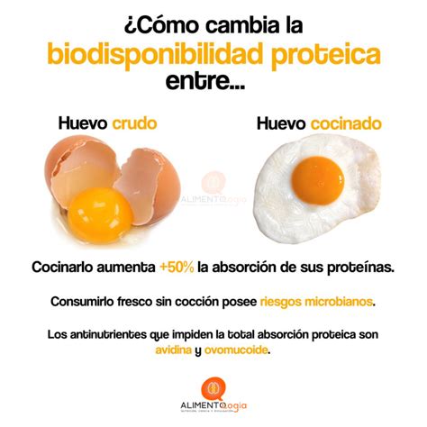 Riesgos de consumir huevo crudo