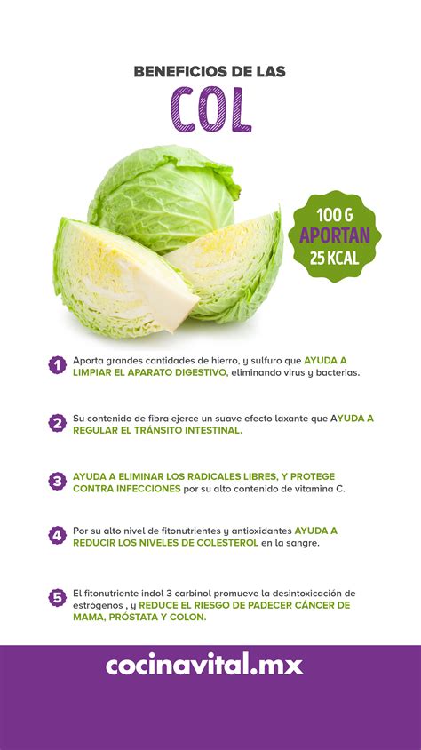 Infografía sobre los beneficios de la col para la salud