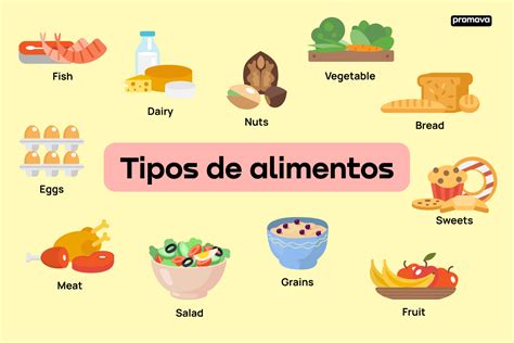 Diferentes tipos de comida en inglés