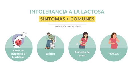Diagrama de los diferentes tipos de intolerancia a la lactosa