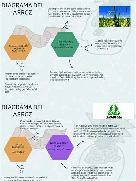 Diagrama de clasificación del arroz