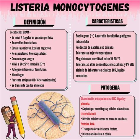 Infografía sobre Listeria monocytogenes y sus efectos en la salud