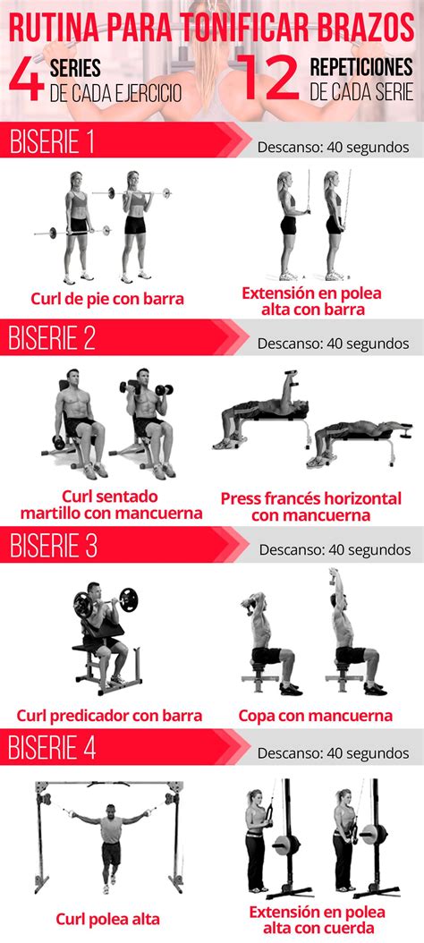 Infografía mostrando diferentes tipos de equipamiento de gimnasio para el entrenamiento de brazos.