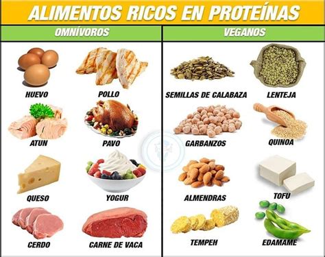 Alimentos ricos en proteínas y grasas saludables