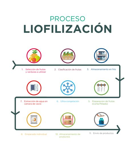 Esquema del proceso de liofilización