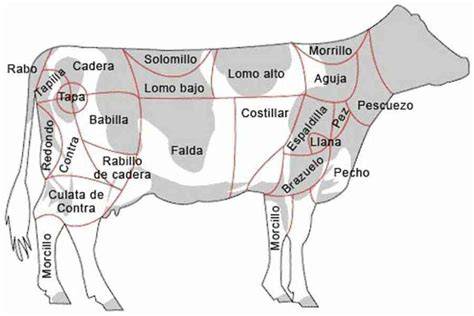 Diagrama de las partes de una vaca con sus cortes