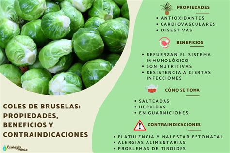 Infografía con los valores nutricionales de las coles de Bruselas