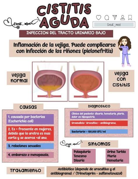 Infografía comparativa de síntomas de cistitis en terneros y otras afecciones urinarias