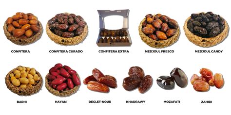 Variedades de dátiles