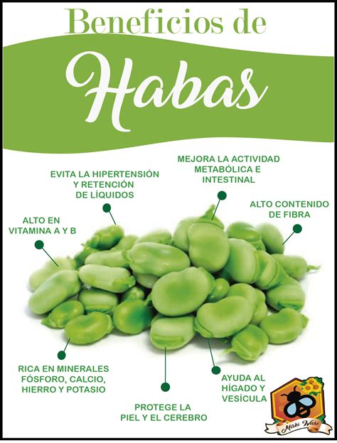 Infografía sobre los beneficios de las judías verdes