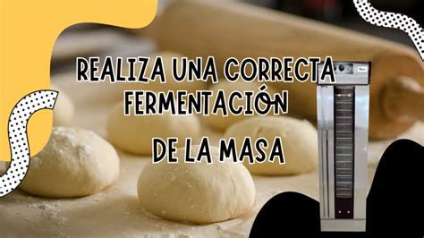 Masa de pan antes de fermentar
