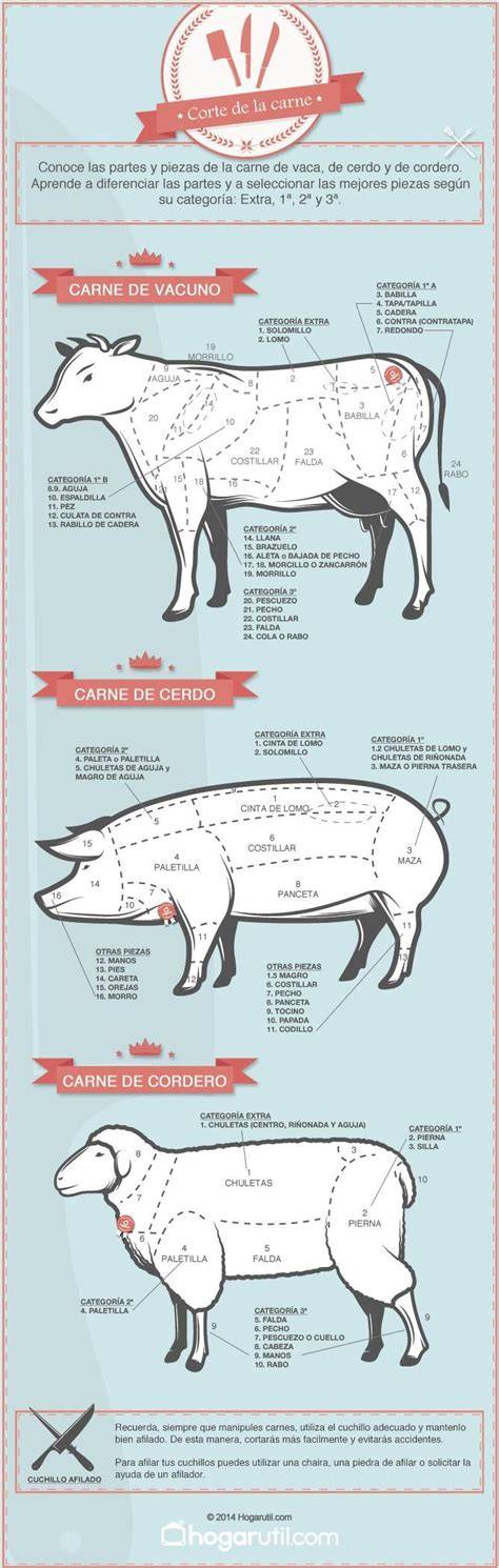 Infografía sobre cortes de cerdo