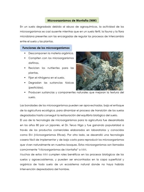 Composición de los microorganismos de montaña (MM)