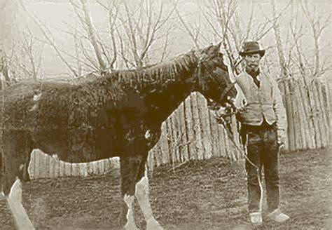 John Daniel Evans y el caballo Malacara