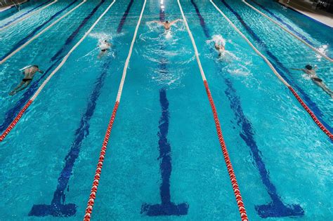 Jóvenes nadadores compitiendo en una piscina