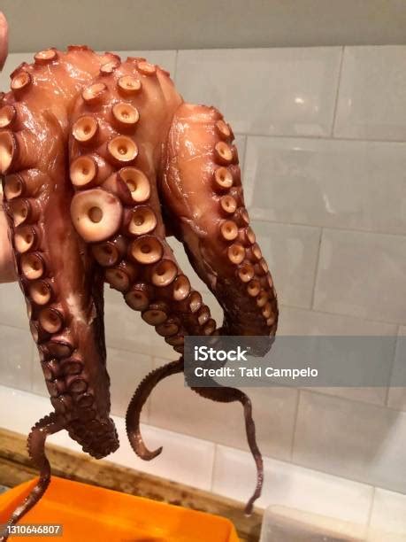 Tentáculos de pulpo listos para servir