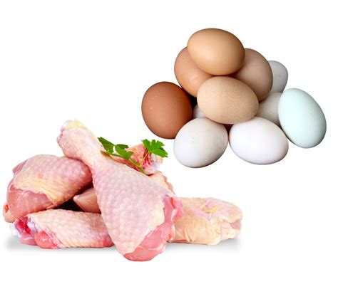 Cesta de la compra con huevos y pollo