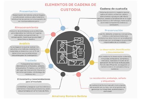 Esquema de la cadena de custodia MSC