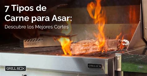 Muestra de diferentes tipos de piedras para asar