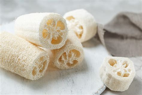 Esponjas de luffa secas