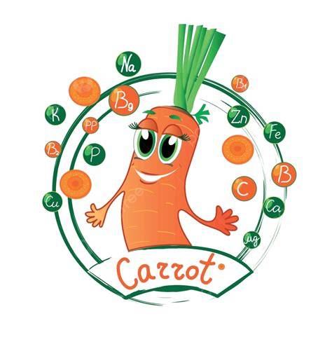 Ilustración de zanahorias y sus vitaminas