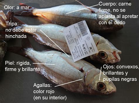 Textura de un pescado fresco