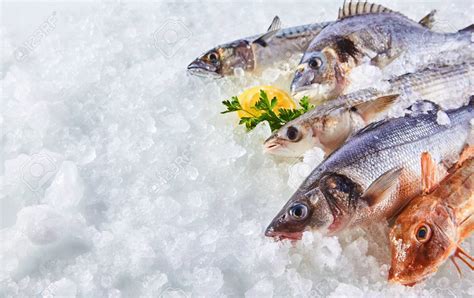 Pescado en hielo para su conservación