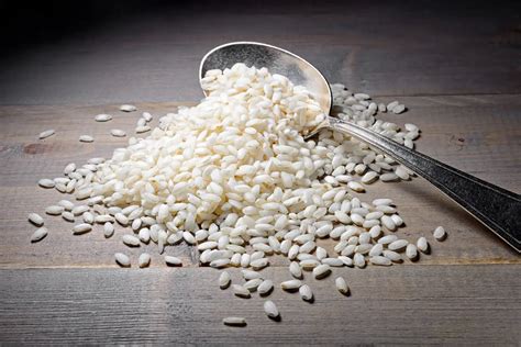 Campo de arroz Arborio en el valle del Po, Italia