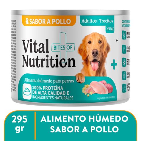 Perro disfrutando de un alimento húmedo de alta calidad