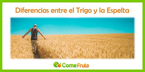 Gráfico comparativo de nutrientes: espelta pequeña vs. trigo moderno