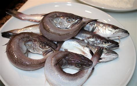 Pescadilla fresca en un mercado