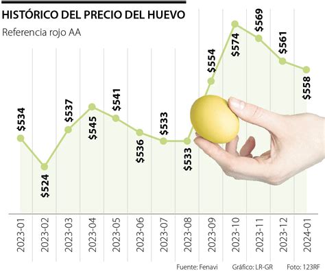 Gráfico histórico del precio de los huevos clase M en origen y destino (2004-2025)