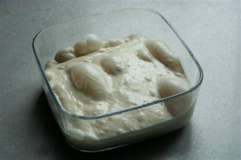 Masa madre con burbujas