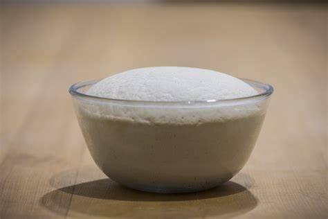 Masa de pan fermentando