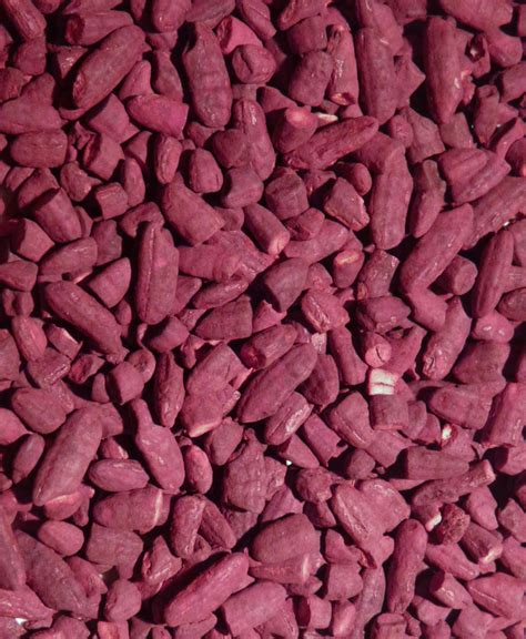 Proceso de fermentación del arroz con Monascus purpureus