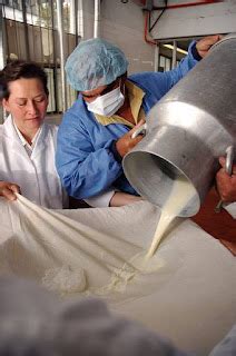 Proceso industrial de filtración de suero de leche