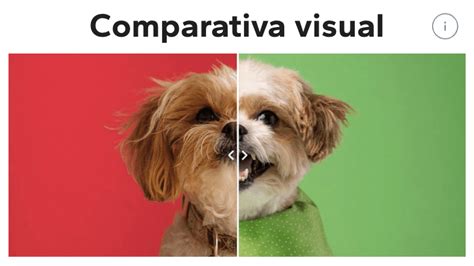 Comparativa visual entre un roof rack y un bolso de techo
