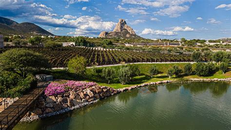 Paisaje de la Manchuela con viñedos
