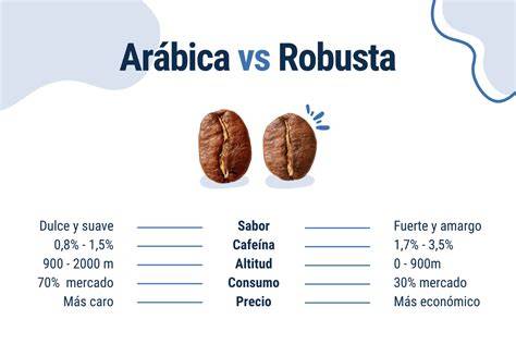Gráfica comparativa de cafeína entre Arábica y Robusta